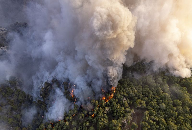 forest-fires-natural-disaster-2022-12-07-01-21-10-utc